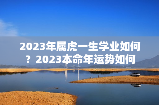 2023年属虎一生学业如何？2023本命年运势如何