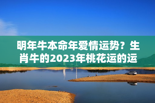 明年牛本命年爱情运势？生肖牛的2023年桃花运的运势