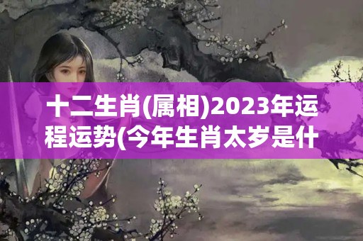 十二生肖(属相)2023年运程运势(今年生肖太岁是什么生肖)