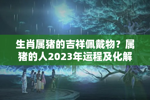 生肖属猪的吉祥佩戴物？属猪的人2023年运程及化解开运