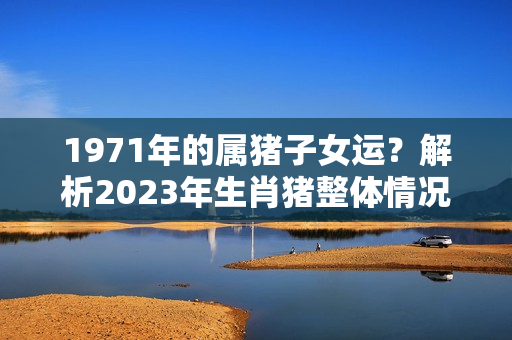 1971年的属猪子女运？解析2023年生肖猪整体情况，提前知晓，掌握运势！