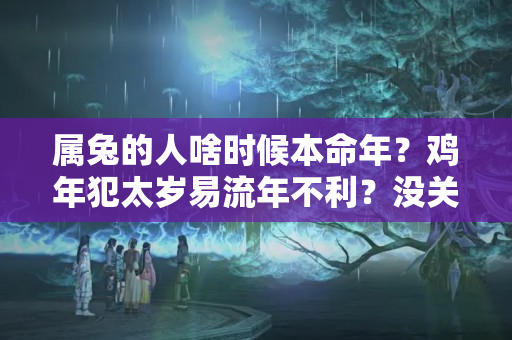 属兔的人啥时候本命年？鸡年犯太岁易流年不利？没关系，只要遇对贵人，则兴旺整年