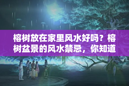 榕树放在家里风水好吗？榕树盆景的风水禁忌，你知道多少？