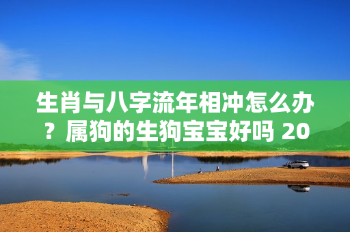 生肖与八字流年相冲怎么办？属狗的生狗宝宝好吗 2023本命年生孩子好吗