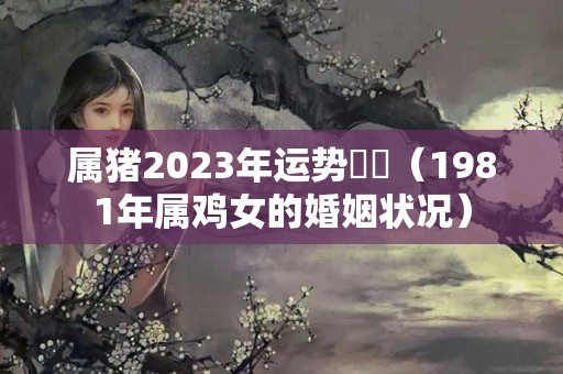 属猪2023年运势財運（1981年属鸡女的婚姻状况）