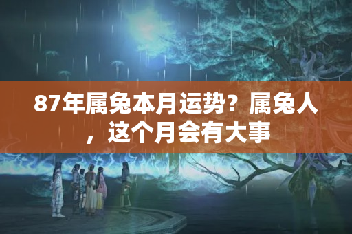 87年属兔本月运势？属兔人，这个月会有大事