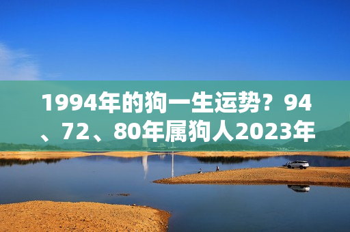 1994年的狗一生运势？94、72、80年属狗人2023年健康运解析及注意事项