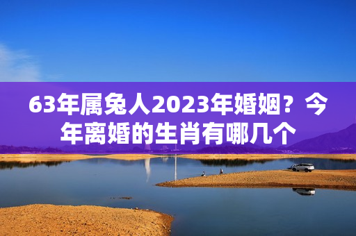 63年属兔人2023年婚姻？今年离婚的生肖有哪几个