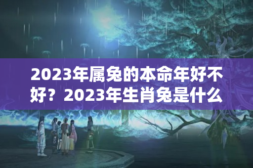 2023年属兔的本命年好不好？2023年生肖兔是什么水命