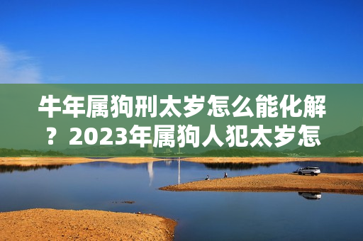 牛年属狗刑太岁怎么能化解？2023年属狗人犯太岁怎么化解