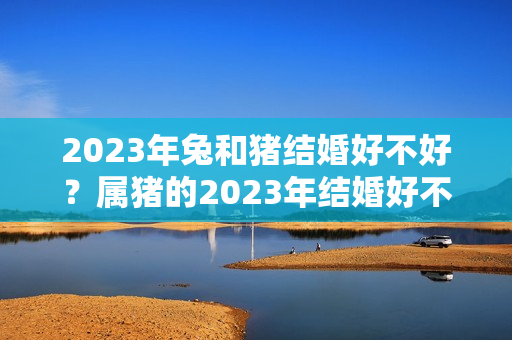 2023年兔和猪结婚好不好？属猪的2023年结婚好不好