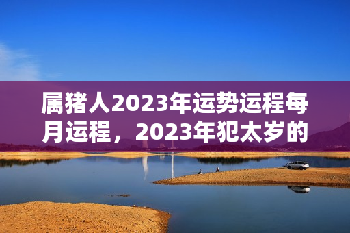 属猪人2023年运势运程每月运程，2023年犯太岁的生肖是