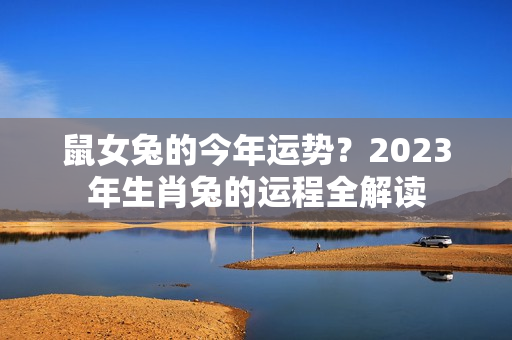 鼠女兔的今年运势？2023年生肖兔的运程全解读