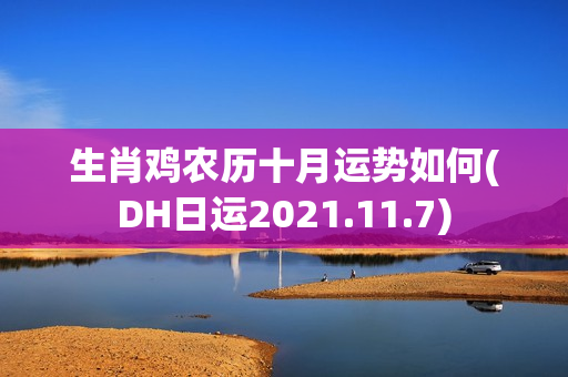 生肖鸡农历十月运势如何(DH日运2021.11.7)