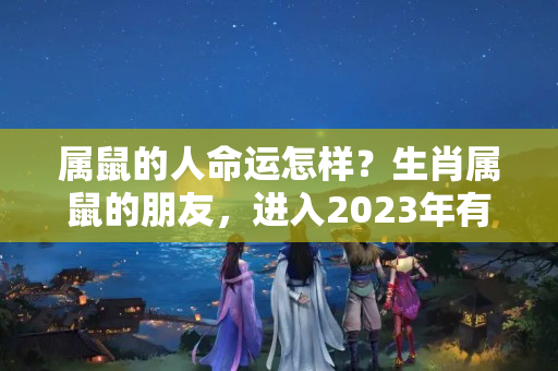 属鼠的人命运怎样？生肖属鼠的朋友，进入2023年有新发展机会，事业进行起来颇为顺利