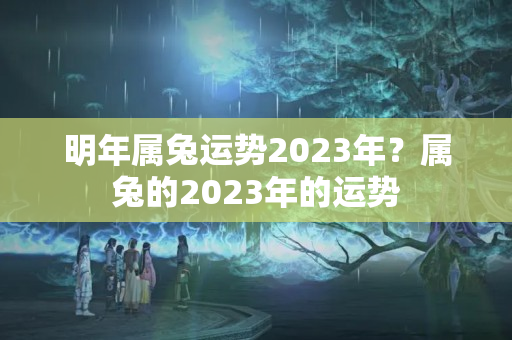 明年属兔运势2023年？属兔的2023年的运势