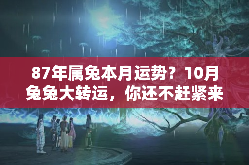 87年属兔本月运势？10月兔兔大转运，你还不赶紧来接