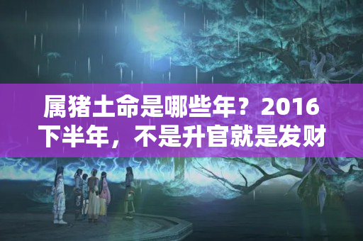 属猪土命是哪些年？2016下半年，不是升官就是发财的几大生肖