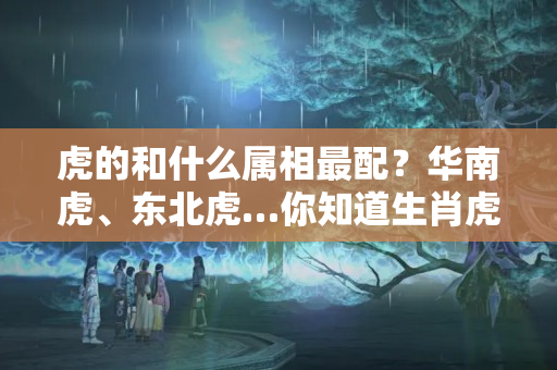 虎的和什么属相最配？华南虎、东北虎…你知道生肖虎的原型是哪种虎吗？