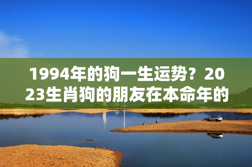 1994年的狗一生运势？2023生肖狗的朋友在本命年的运程解读