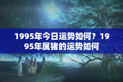 1995年今日运势如何？1995年属猪的运势如何