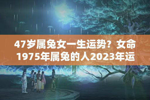 47岁属兔女一生运势？女命1975年属兔的人2023年运程