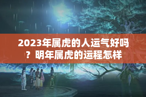 2023年属虎的人运气好吗？明年属虎的运程怎样