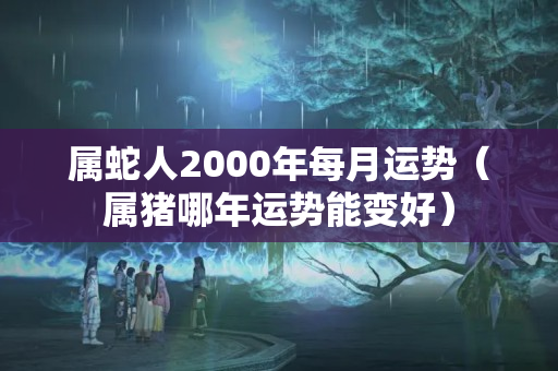 属蛇人2000年每月运势（属猪哪年运势能变好）