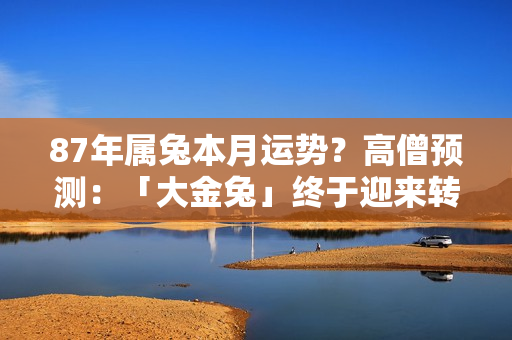 87年属兔本月运势？高僧预测：「大金兔」终于迎来转运机会，六月财运旺旺旺！