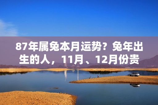 87年属兔本月运势？兔年出生的人，11月、12月份贵人助力运势，好的不得了！