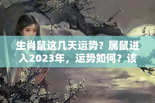 生肖鼠这几天运势？属鼠进入2023年，运势如何？该怎么化解犯太岁？