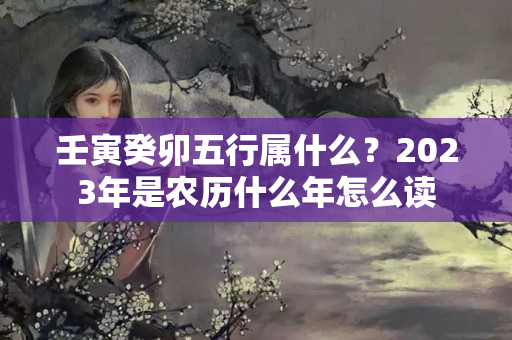 壬寅癸卯五行属什么？2023年是农历什么年怎么读