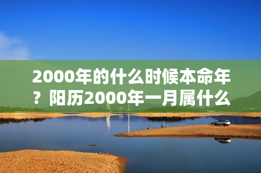 2000年的什么时候本命年？阳历2000年一月属什么