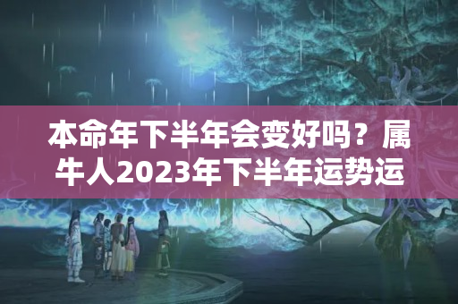 本命年下半年会变好吗？属牛人2023年下半年运势运程每月运程