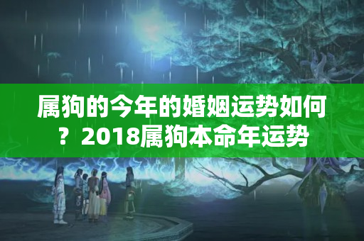 属狗的今年的婚姻运势如何？2018属狗本命年运势