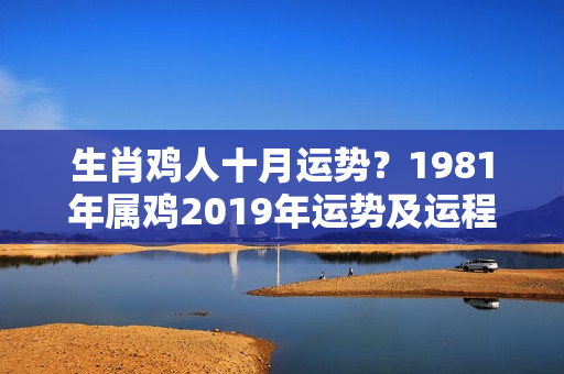 生肖鸡人十月运势？1981年属鸡2019年运势及运程