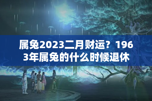 属兔2023二月财运？1963年属兔的什么时候退休