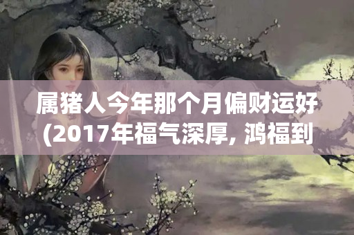 属猪人今年那个月偏财运好(2017年福气深厚, 鸿福到来, 富贵难挡的生肖)