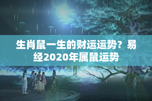 生肖鼠一生的财运运势？易经2020年属鼠运势