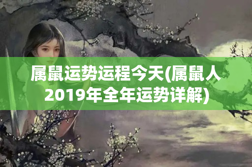 属鼠运势运程今天(属鼠人2019年全年运势详解)