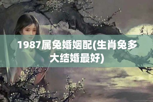 1987属兔婚姻配(生肖兔多大结婚最好)