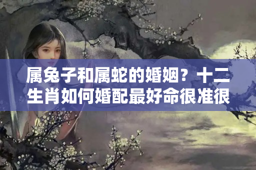 属兔子和属蛇的婚姻？十二生肖如何婚配最好命很准很邪门