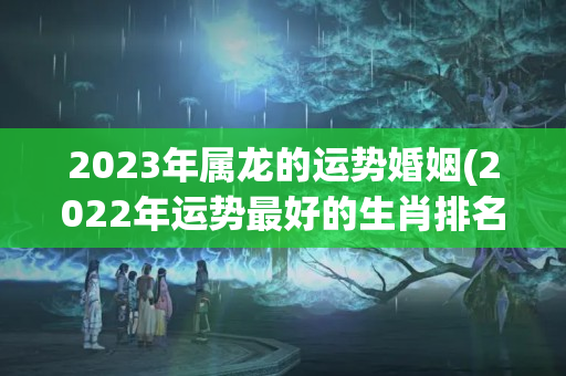 2023年属龙的运势婚姻(2022年运势最好的生肖排名)