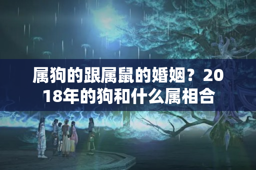 属狗的跟属鼠的婚姻？2018年的狗和什么属相合