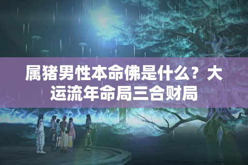 属猪男性本命佛是什么？大运流年命局三合财局