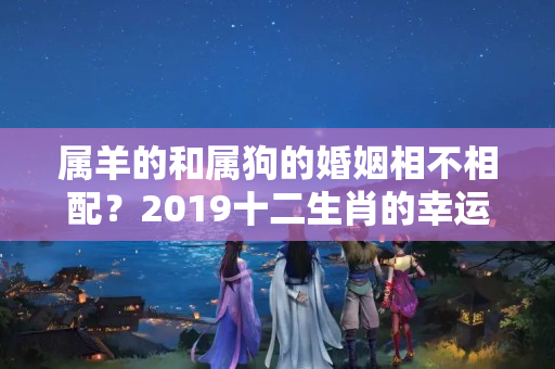 属羊的和属狗的婚姻相不相配？2019十二生肖的幸运花是什么花