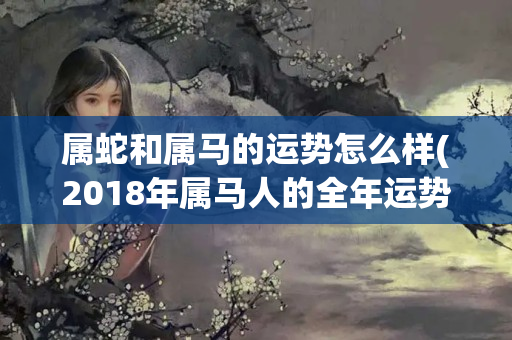 属蛇和属马的运势怎么样(2018年属马人的全年运势)