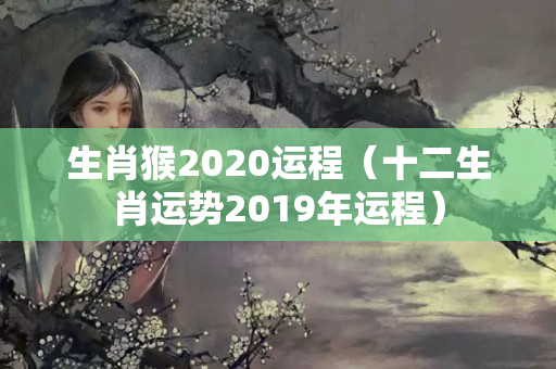 生肖猴2020运程（十二生肖运势2019年运程）