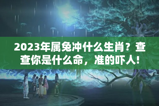 2023年属兔冲什么生肖？查查你是什么命，准的吓人!