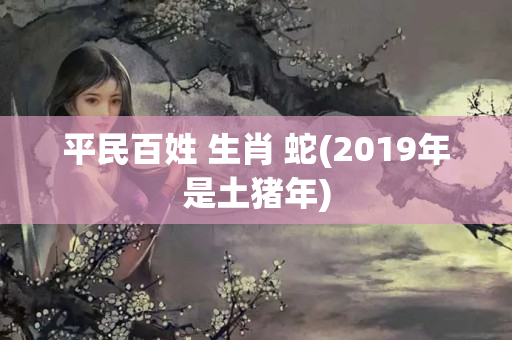 平民百姓 生肖 蛇(2019年是土猪年)